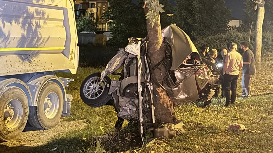 Trafik Kazası Ağaca Çarpma