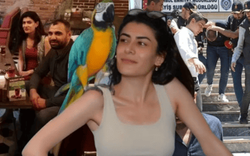Pınar Damar