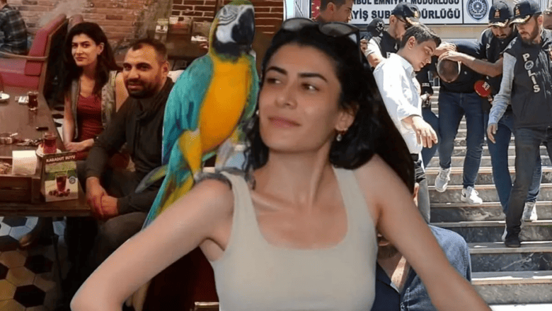 Pınar Damar