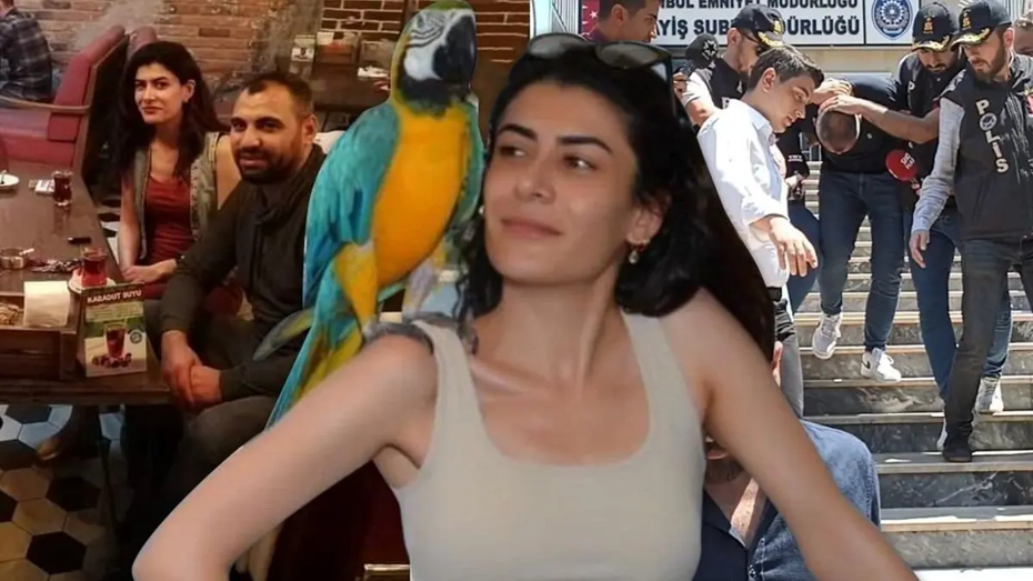 Pınar Damar