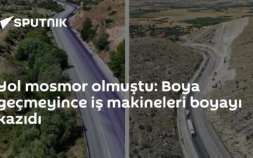 boya