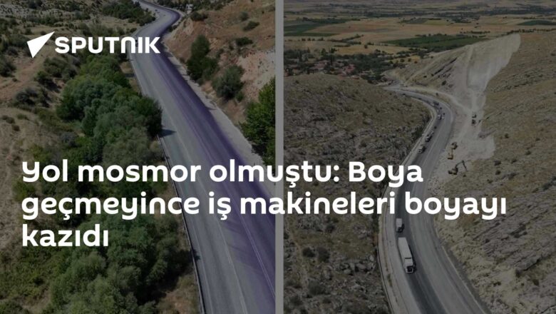 boya