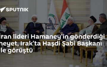 Haşdi Şabi