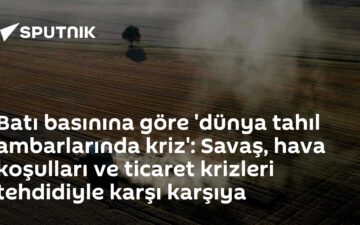tahıl fiyatları