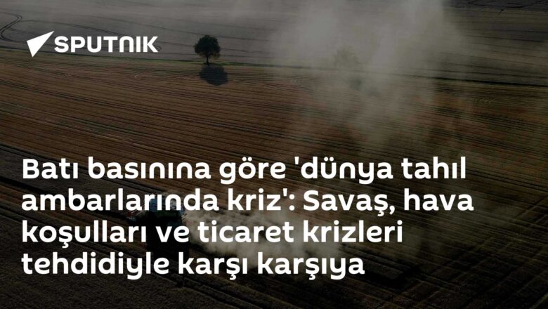 tahıl fiyatları