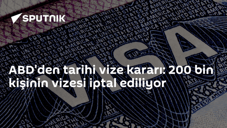 vize iptali