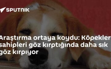 göz kırpma