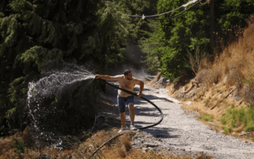 Yunanistan Orman Yangını