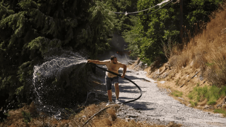 Yunanistan Orman Yangını