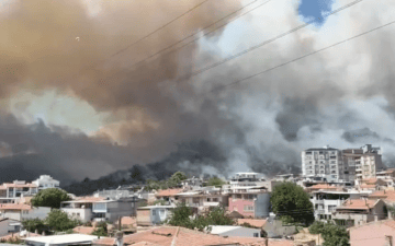 Balıkesir Orman Yangını