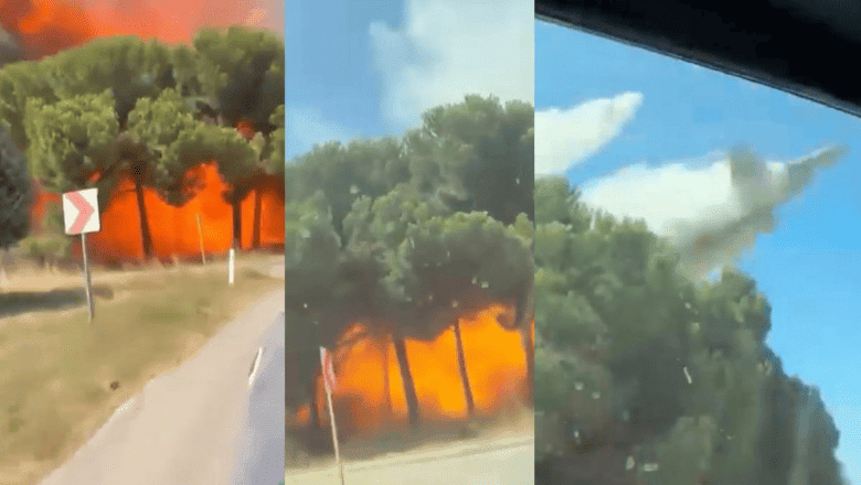Yalova Kaza