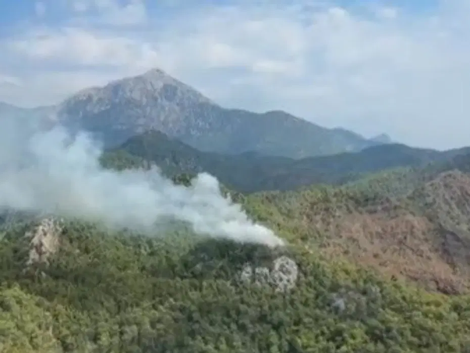 Orman yangını