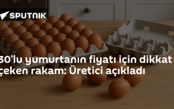 yumurta fiyatı