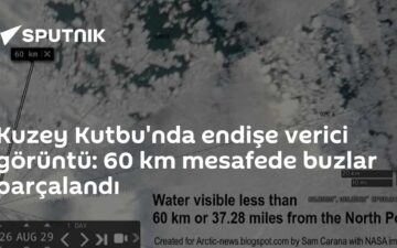 Kuzey Kutbu açık su