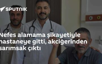 sarımsak