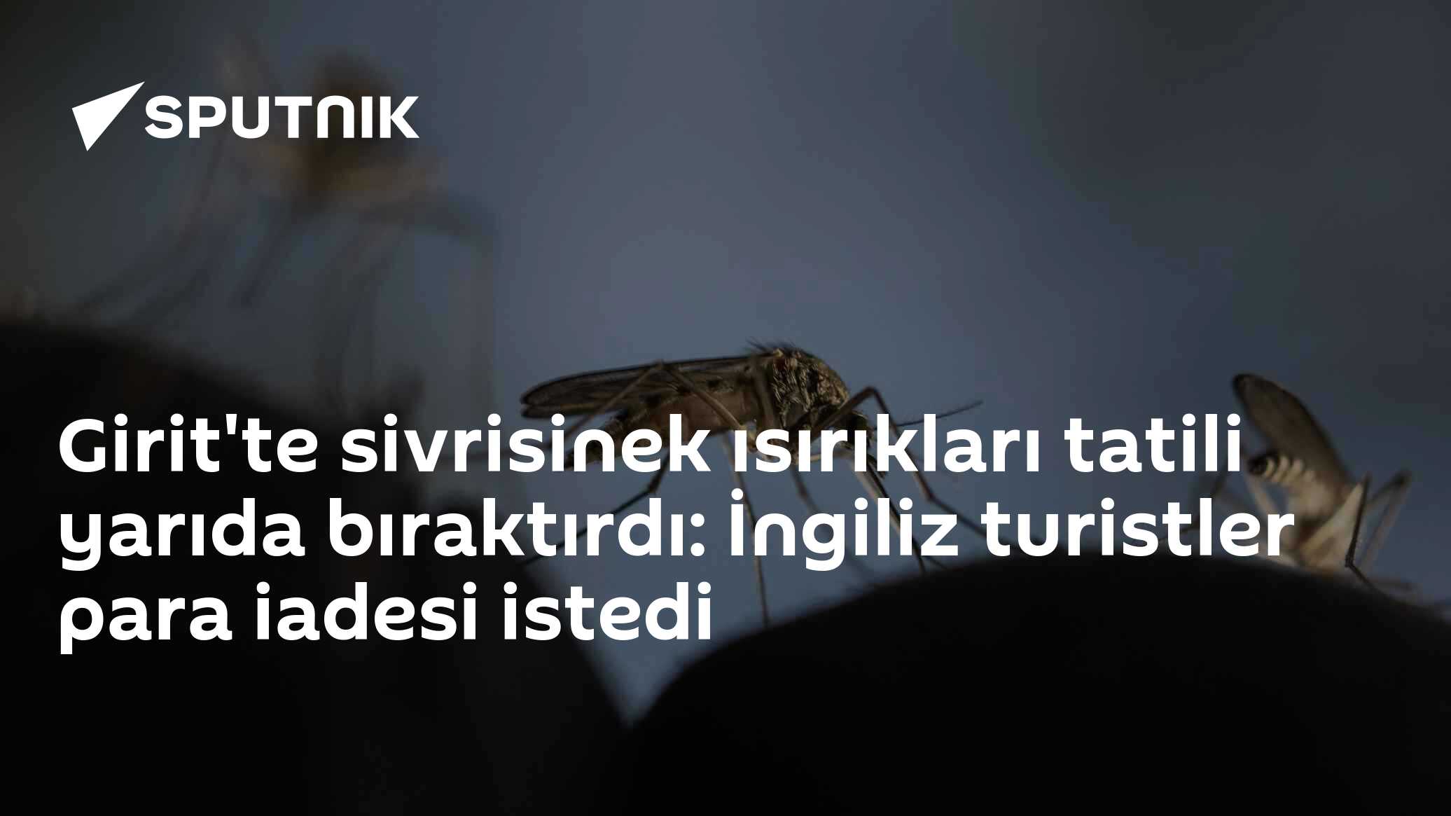 sivrisinek ısırıkları