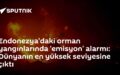 yangın emisyonları