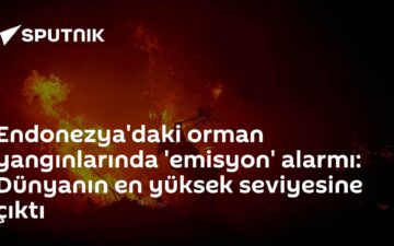 yangın emisyonları