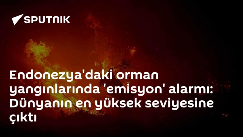 yangın emisyonları