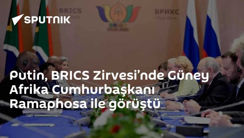 Putin – Ramaphosa görüşmesi