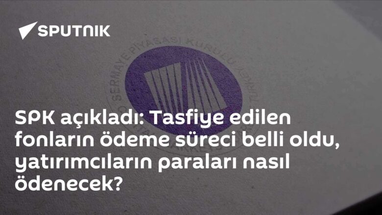 tasfiye süreci