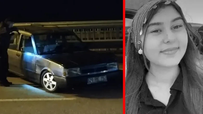 trafik kazası