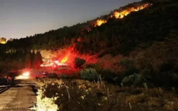 Bergama yangını
