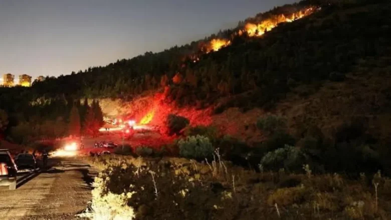 Bergama yangını